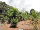 Millaa Malanda Road, Malanda QLD 4885