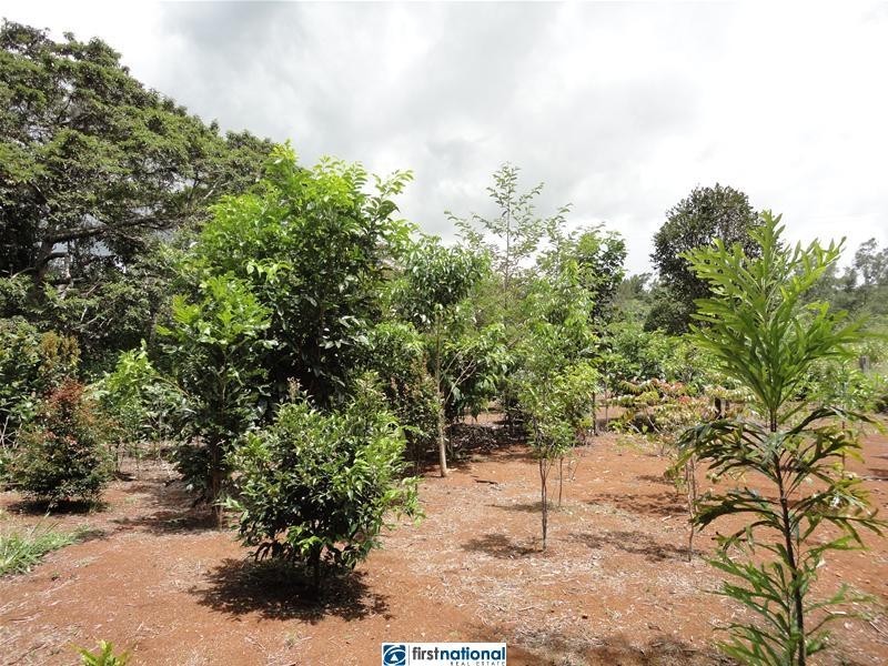 Millaa Malanda Road, Malanda QLD 4885