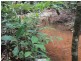 Millaa Malanda Road, Malanda QLD 4885
