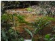 Millaa Malanda Road, Malanda QLD 4885