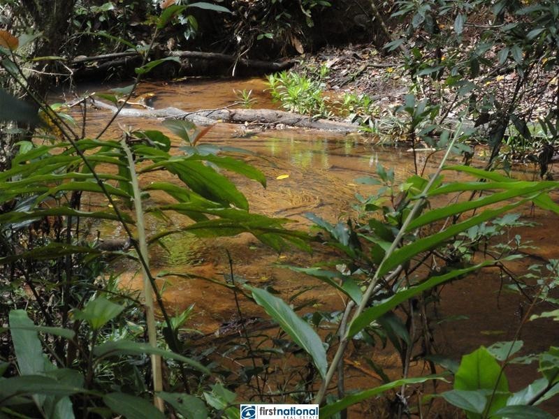 Millaa Malanda Road, Malanda QLD 4885