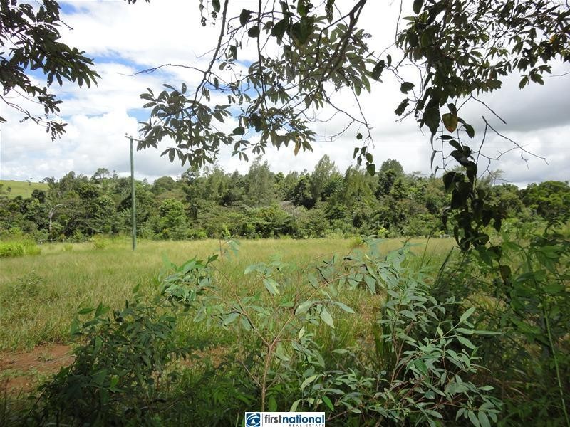 Millaa Malanda Road, Malanda QLD 4885