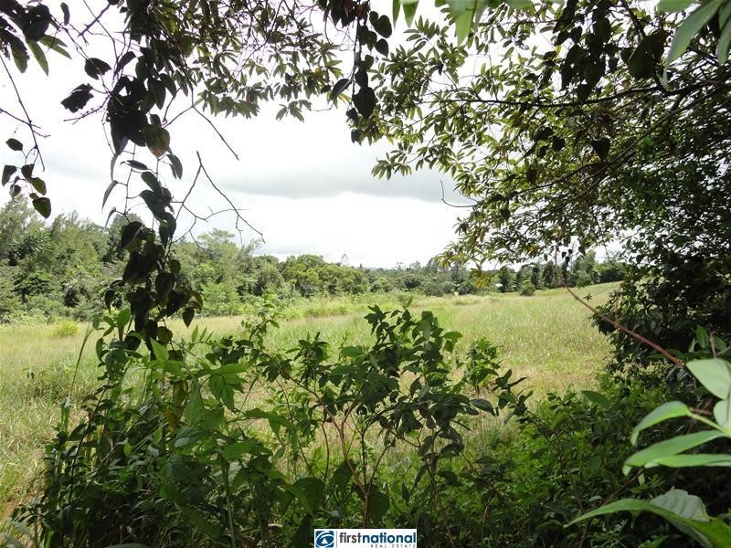Millaa Malanda Road, Malanda QLD 4885