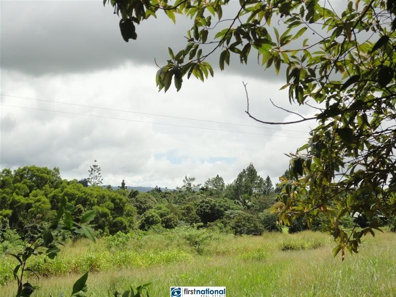 Millaa Malanda Road, Malanda QLD 4885