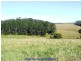 Ravenshoe QLD 4888