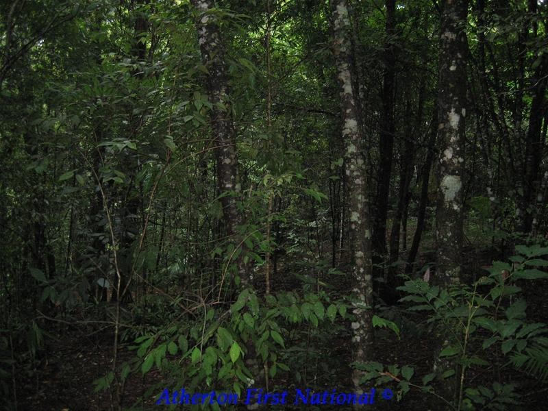 Malanda QLD 4885