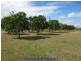 Mareeba QLD 4880