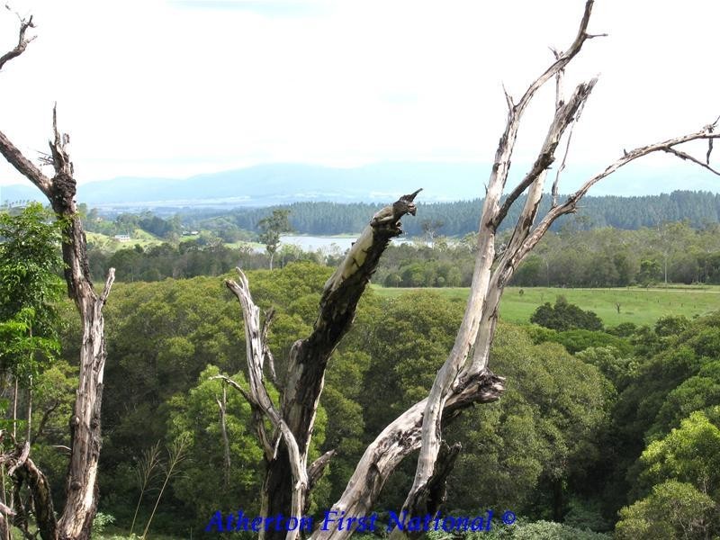 Yungaburra QLD 4884