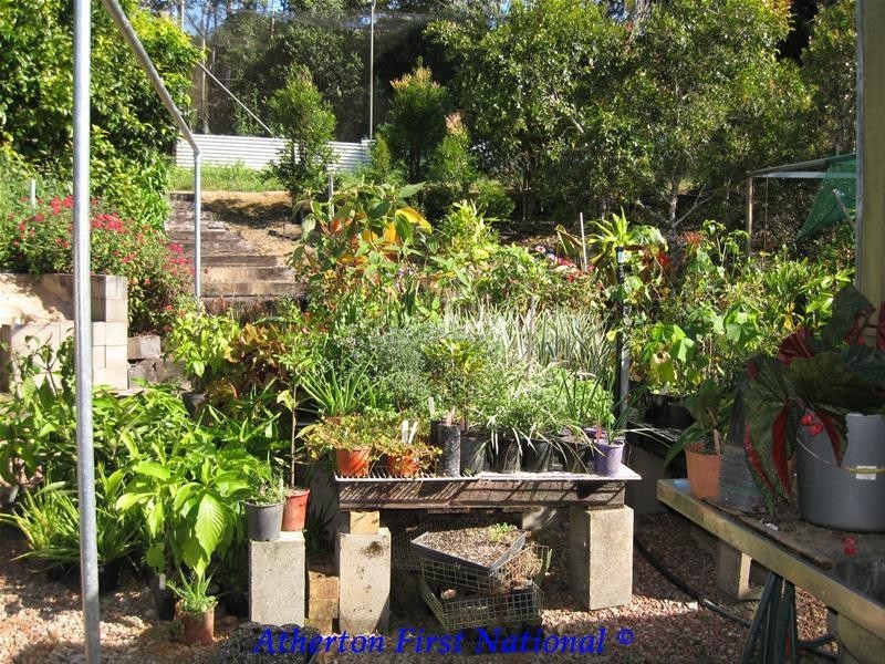 16 Sluice Creek Road, Evelyn QLD 4888