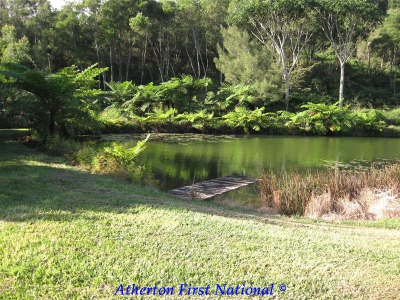 16 Sluice Creek Road, Evelyn QLD 4888