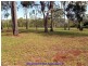 Tolga QLD 4882