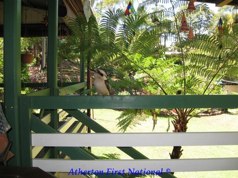 17 Gordon Street, Irvinebank QLD 4887