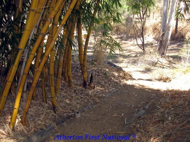 17 Gordon Street, Irvinebank QLD 4887