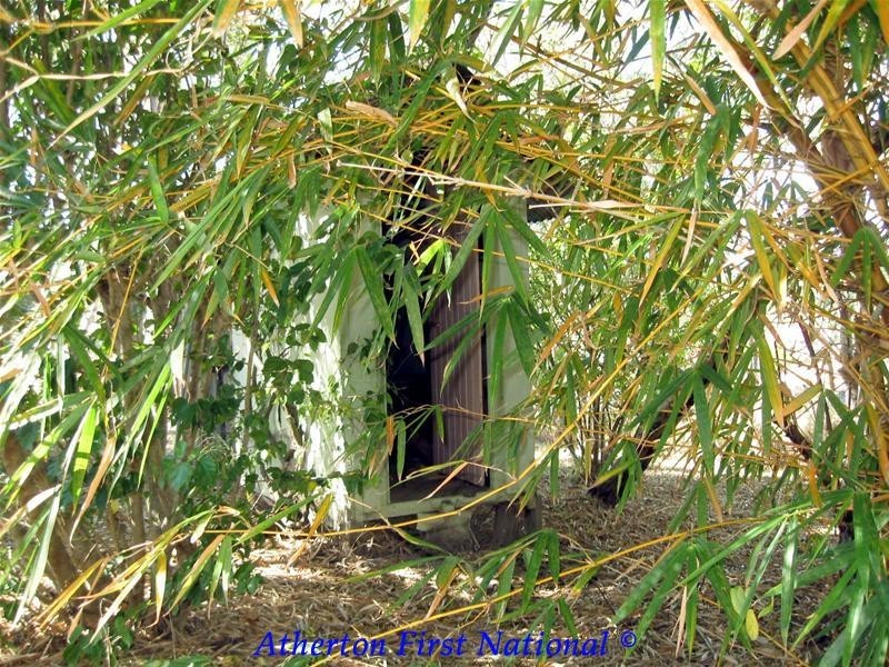 12 Herbert Street, Herberton QLD 4887