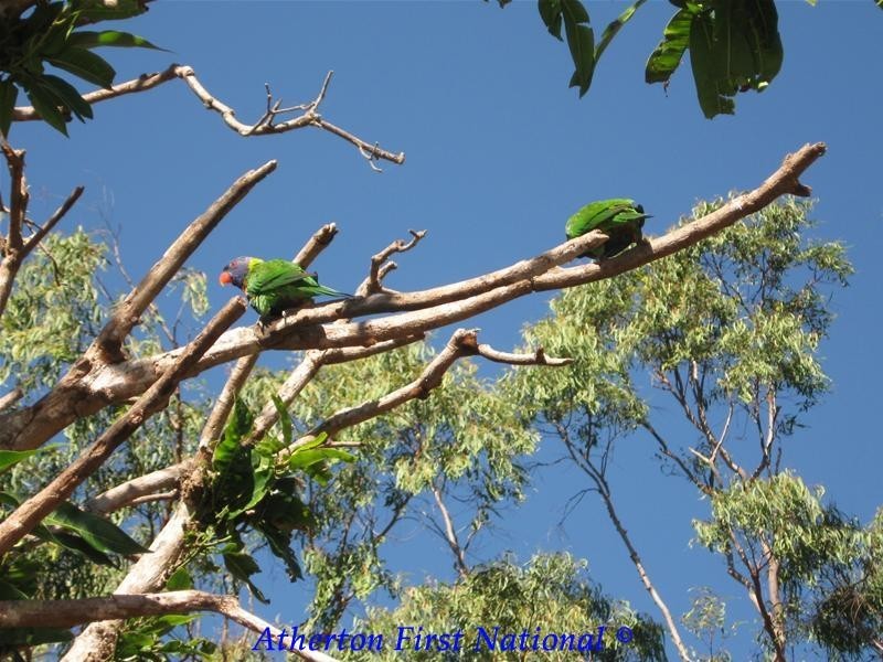 12 Herbert Street, Herberton QLD 4887