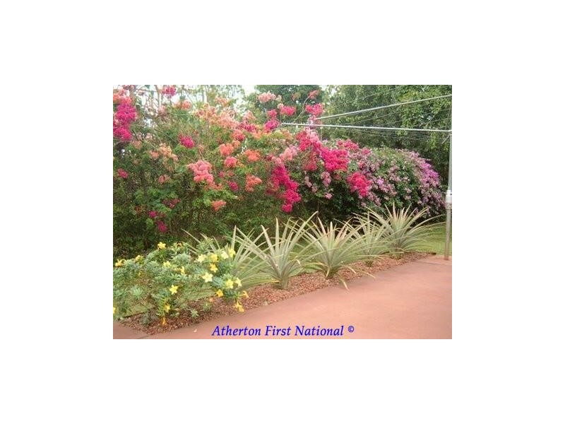 11 Rankine Drive, Tolga QLD 4882