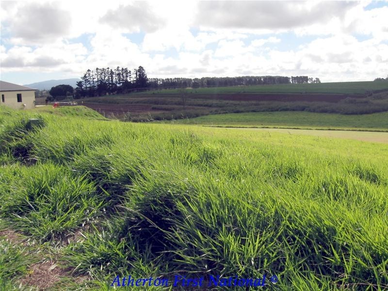 Atherton QLD 4883