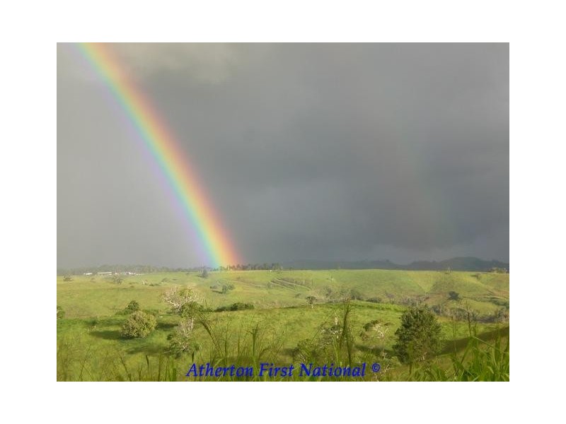 Millaa Millaa QLD 4886