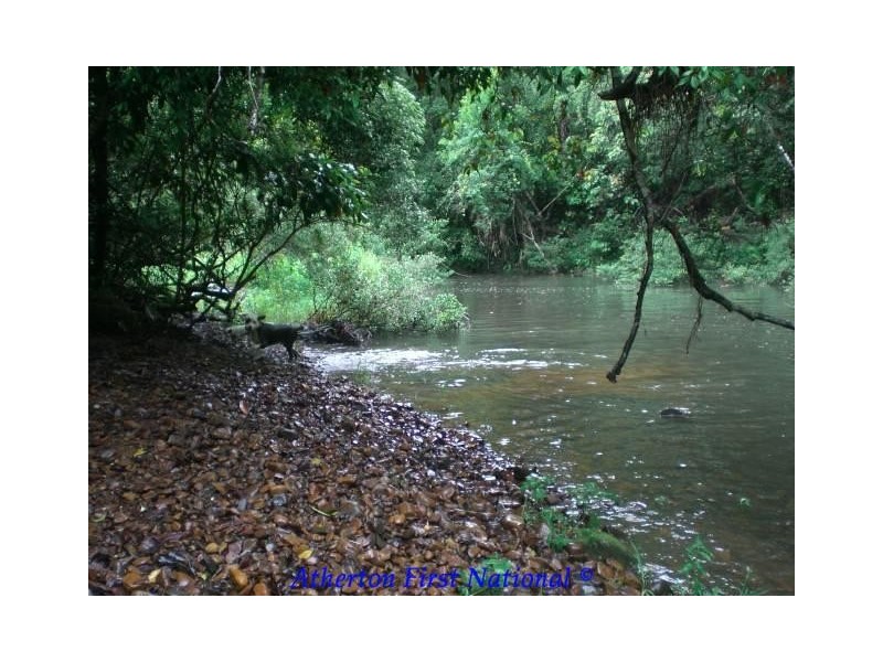 Millaa Millaa QLD 4886