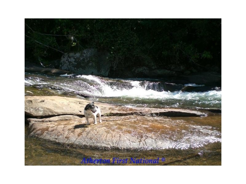 Millaa Millaa QLD 4886