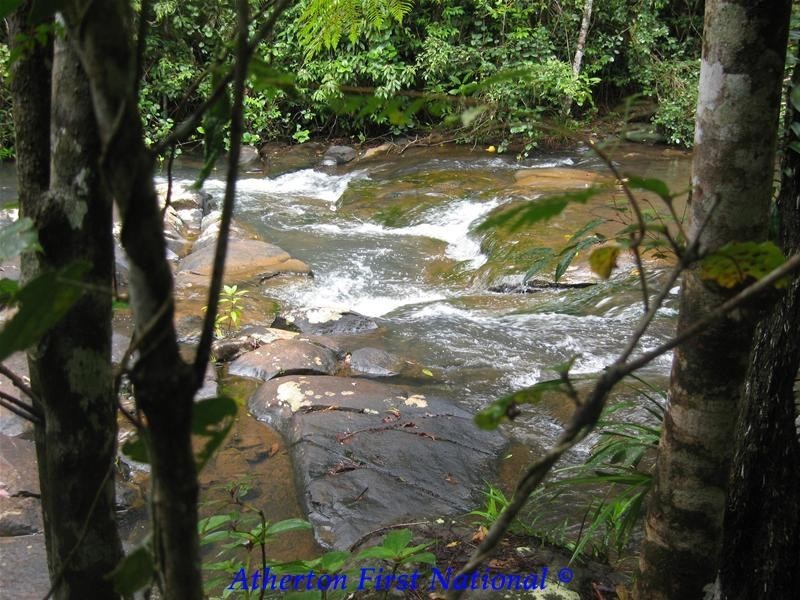 116 Hosie Road, Malanda QLD 4885