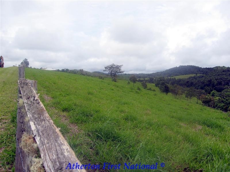 116 Hosie Road, Malanda QLD 4885