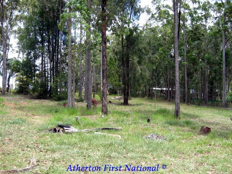 25 Christie Palmerston Drive, Wondecla QLD 4887