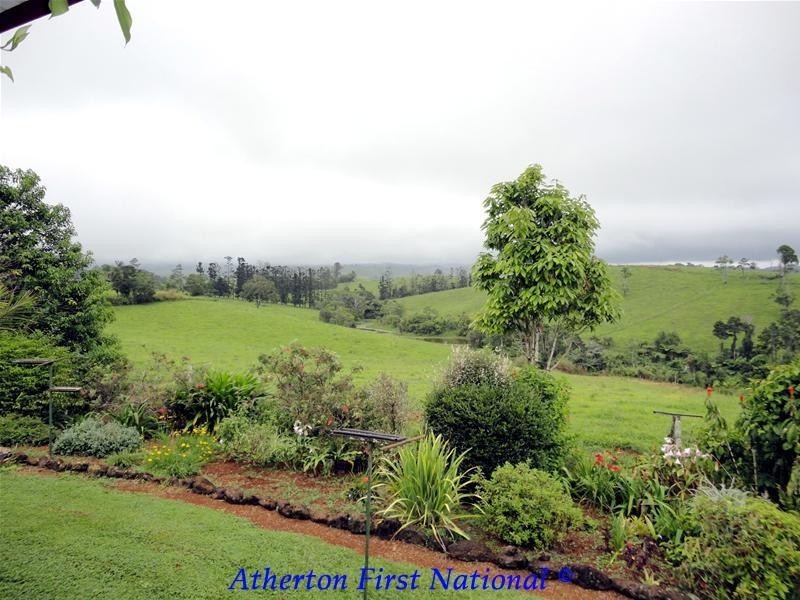 Millaa Millaa QLD 4886