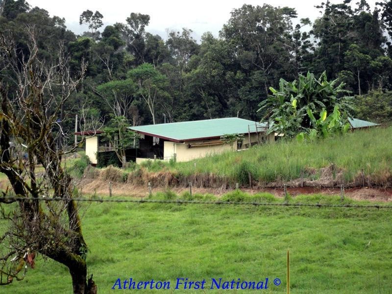 Millaa Millaa QLD 4886