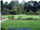 Yungaburra QLD 4884