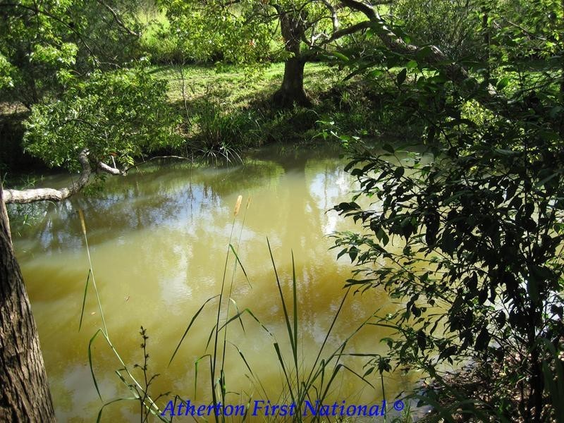 Yungaburra QLD 4884