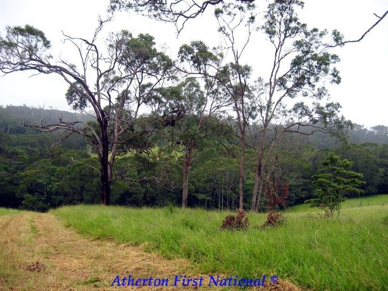 Yungaburra QLD 4884