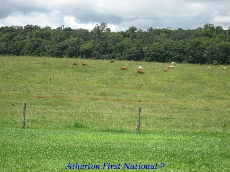 Yungaburra QLD 4884