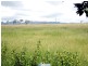 Tolga QLD 4882