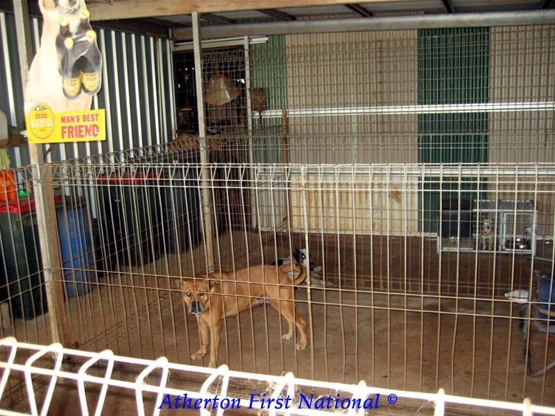 Malanda QLD 4885