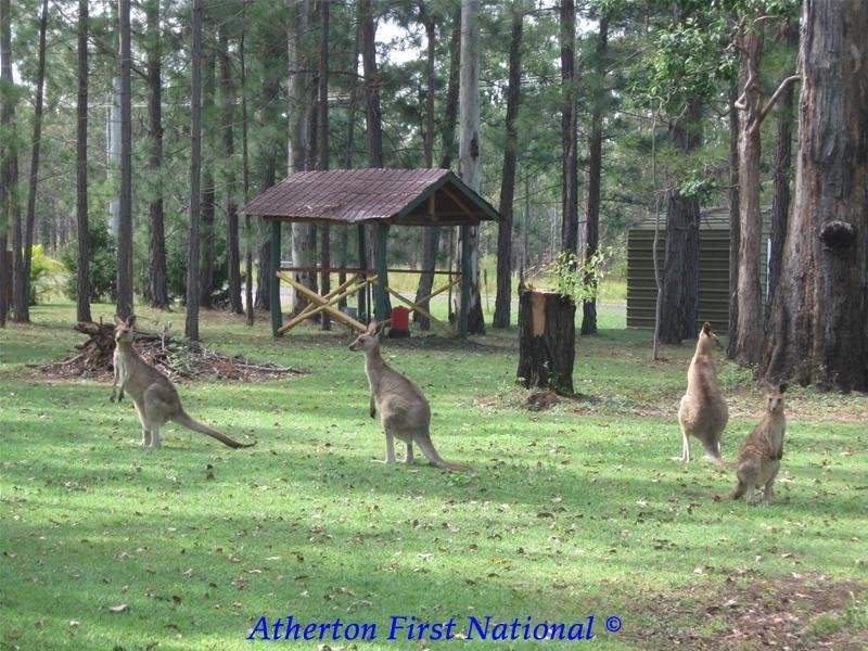 132 River Road, Ravenshoe QLD 4888