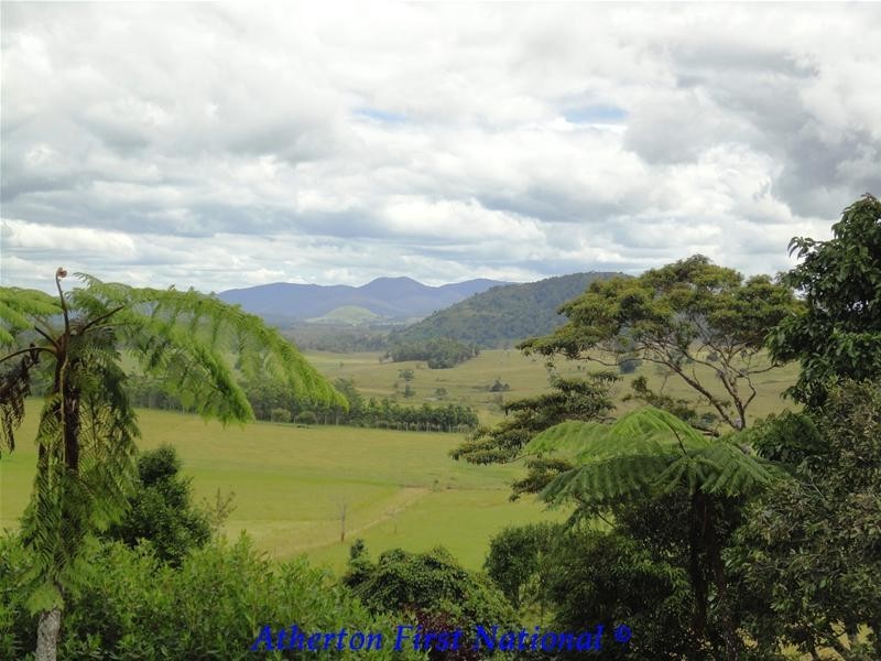 Yungaburra QLD 4884