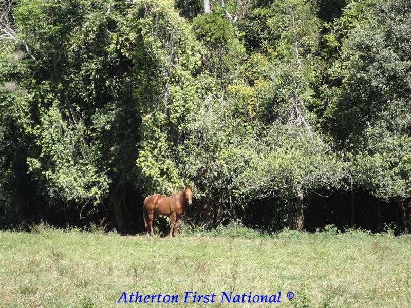 Atherton QLD 4883
