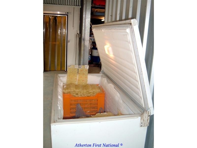 32 Riverlea Close, Malanda QLD 4885