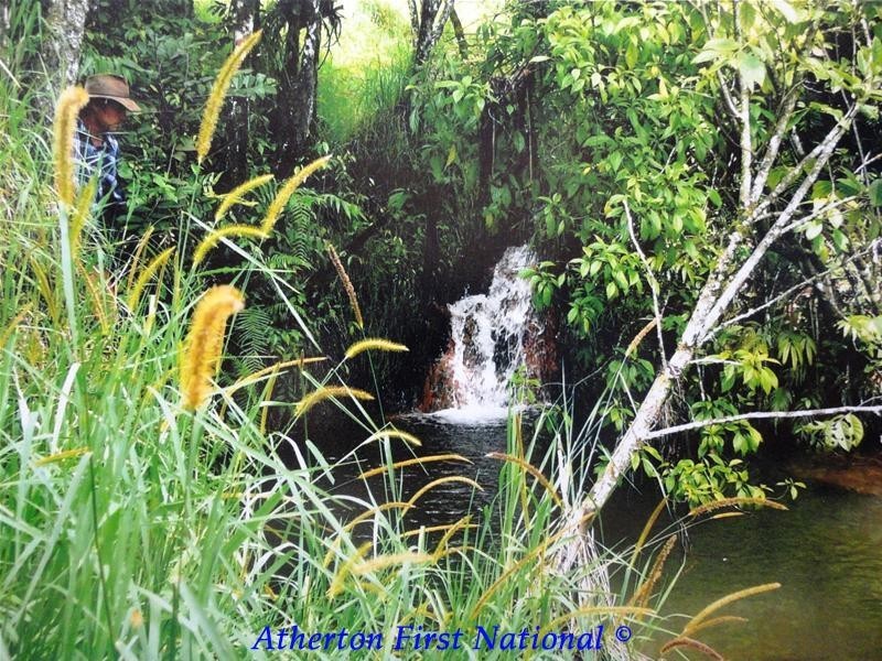 Upper Barron QLD 4883