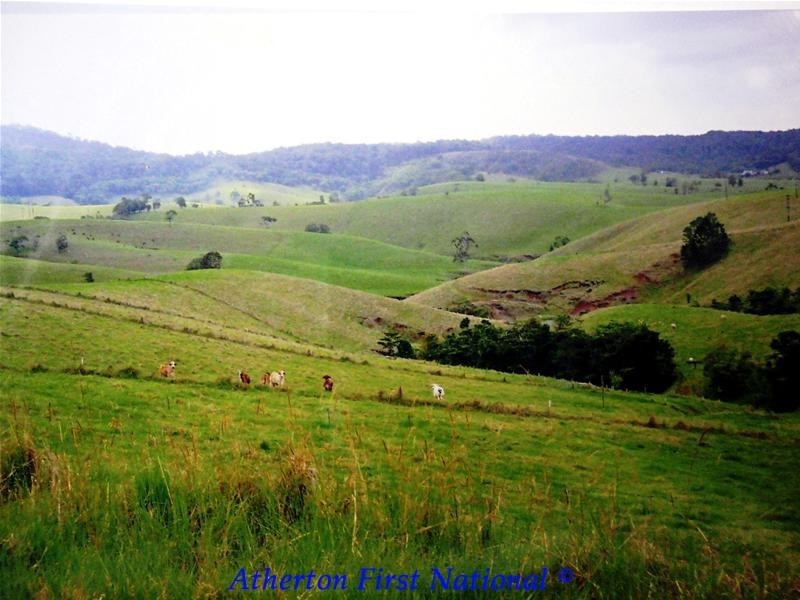 Upper Barron QLD 4883