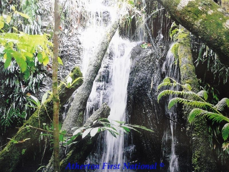 Upper Barron QLD 4883