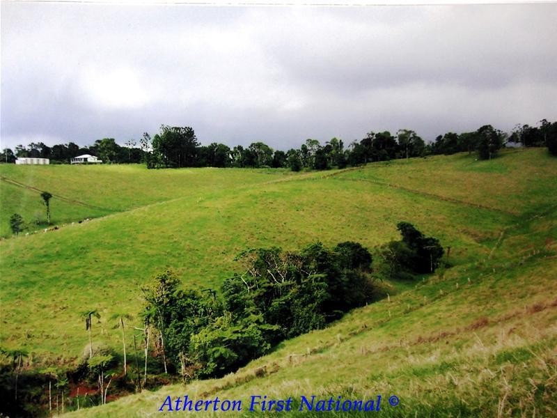 Upper Barron QLD 4883