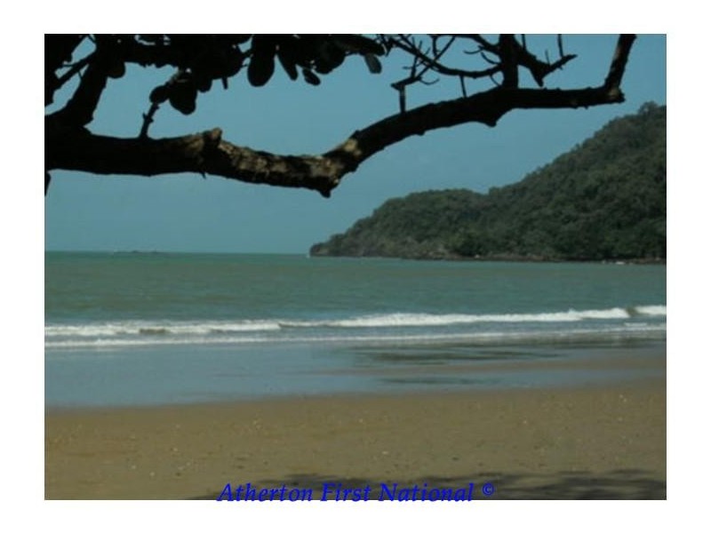 188 Bloodwood Road, Cow Bay QLD 4873