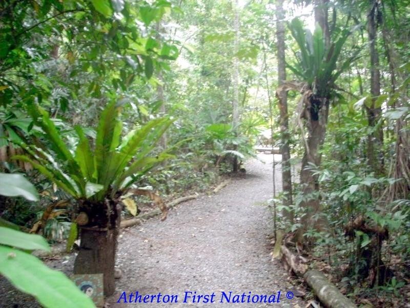 188 Bloodwood Road, Cow Bay QLD 4873