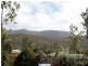 Tolga QLD 4882