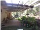 Yungaburra QLD 4884