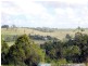 Tarzali QLD 4885