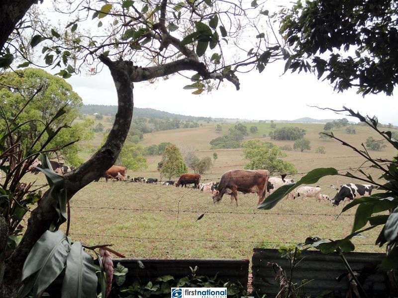 Yungaburra QLD 4884