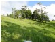 Millaa Millaa QLD 4886